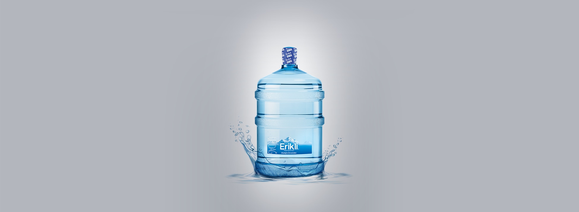 erikliefsanesibanner